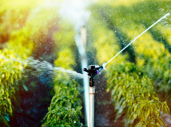 Application of Rubber Hoses & Strips: Agriculture