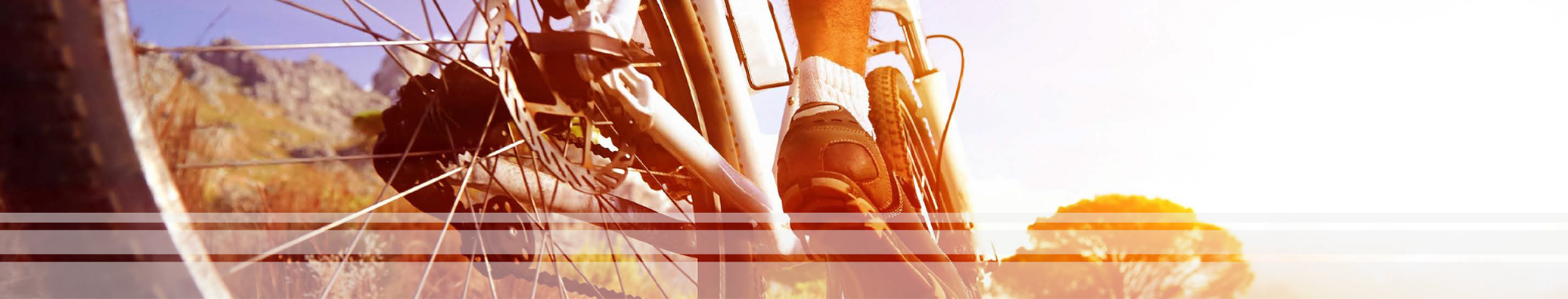 Application of Rubber Hoses & Strips: Bike