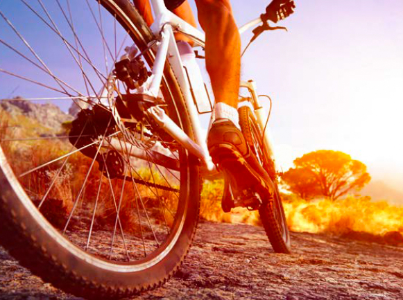 Application of Rubber Hoses & Strips: Bike