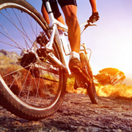 Application of Rubber Hoses & Strips: Bike